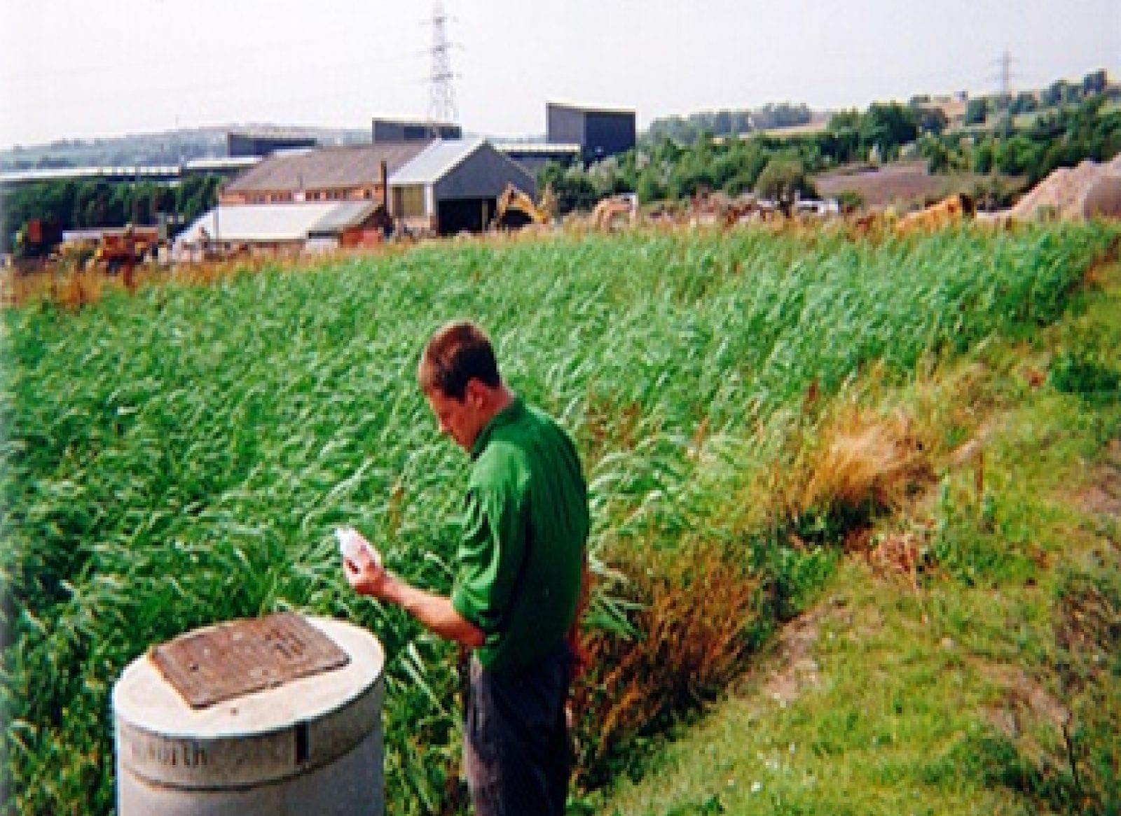 Acidic Landfill Leachate Remediation Reed Beds Acidic Landfill Leachate Remediation Reed Beds