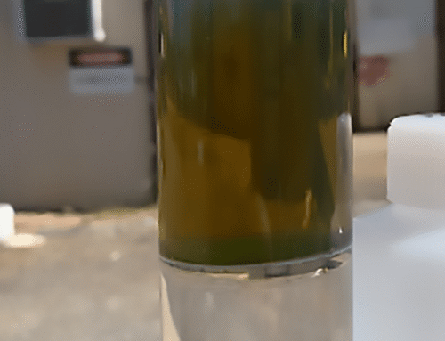 Groundwater Hydrocarbon Sheen vs. Measurable LNAPL