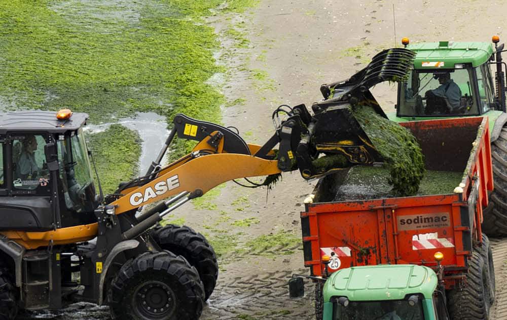 Environmental Audits