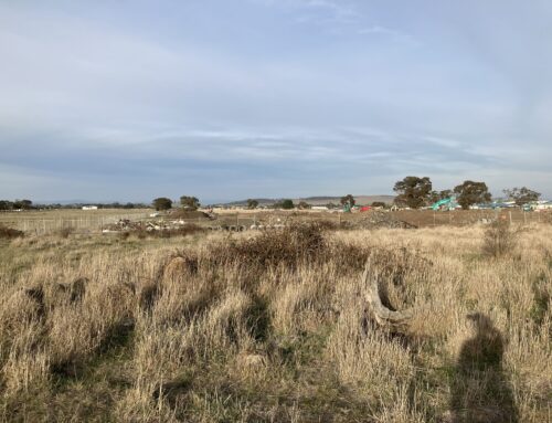 Ensuring Safe School Development: Soil and Asbestos Investigations in Wollert