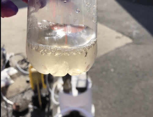 Remediation Action Plan: From Contamination Liability to a Successful CUTEP